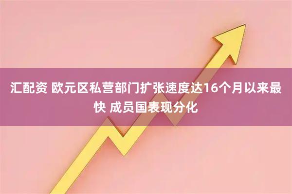 汇配资 欧元区私营部门扩张速度达16个月以来最快 成员国表现分化