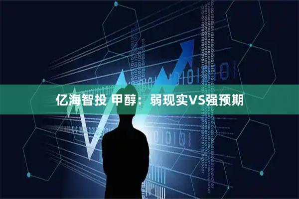 亿海智投 甲醇：弱现实VS强预期