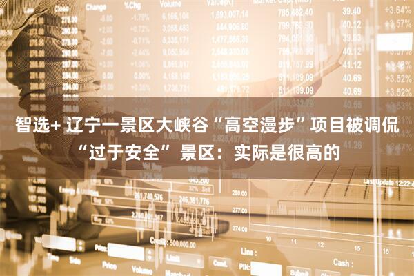 智选+ 辽宁一景区大峡谷“高空漫步”项目被调侃“过于安全” 景区：实际是很高的