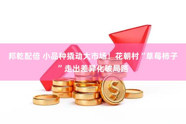 邦乾配倍 小品种撬动大市场！花朝村“草莓柿子”走出差异化破局路