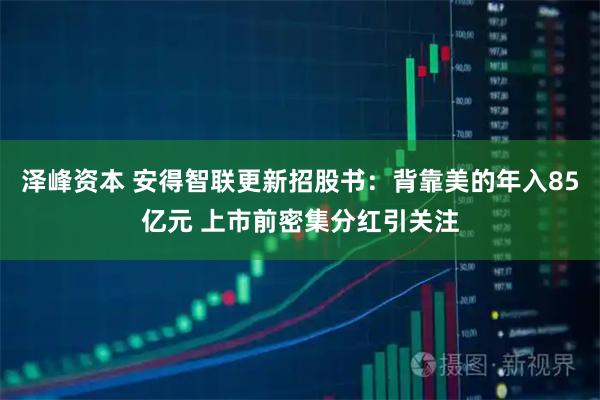 泽峰资本 安得智联更新招股书：背靠美的年入85亿元 上市前密集分红引关注