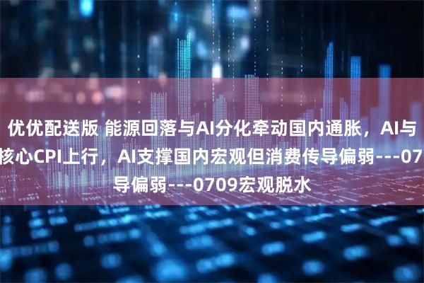 优优配送版 能源回落与AI分化牵动国内通胀,AI与能源推动美核心CPI上行,AI支撑国内宏观但消费传导偏弱---0709宏观脱水