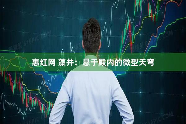 惠红网 藻井:悬于殿内的微型天穹